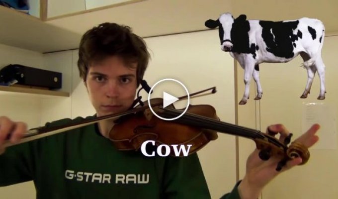 Музыкант мастерски имитирует звуки животных с помощью скрипки