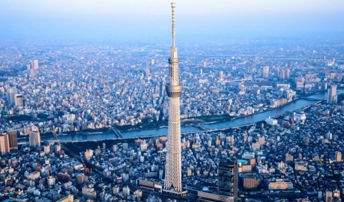 Токийское небесное дерево – высочайшее строение Японии (9 фото)