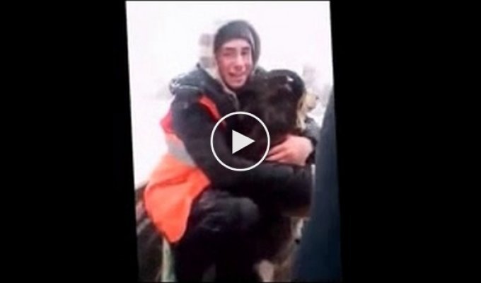 Дорожные рабочие в поселке Усть-Долыссы вытащили из ледяной воды собаку