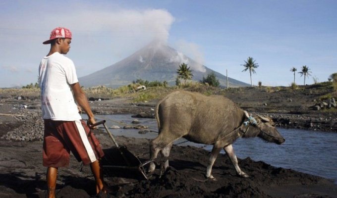 Извержение вулкана Майон (23 фото)