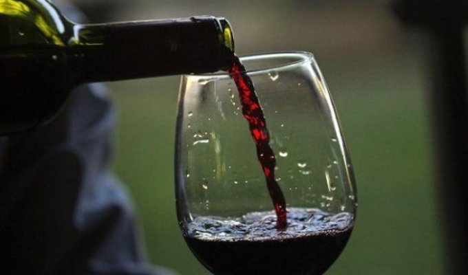 Ученые приравняли выпитый бокал вина к одному часу занятий спортом (2 фото)