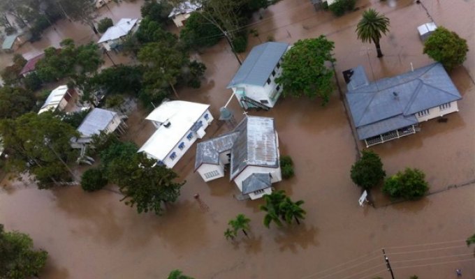 Побег от 'библейского наводнения' в Австралии (42 фото)
