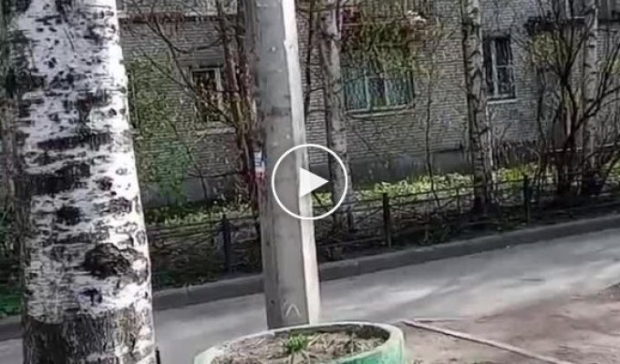 Видео из российского Петербурга