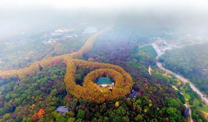 Дворец Мэй-Лин возле Нанкина похож на гигантское ожерелье (8 фото)