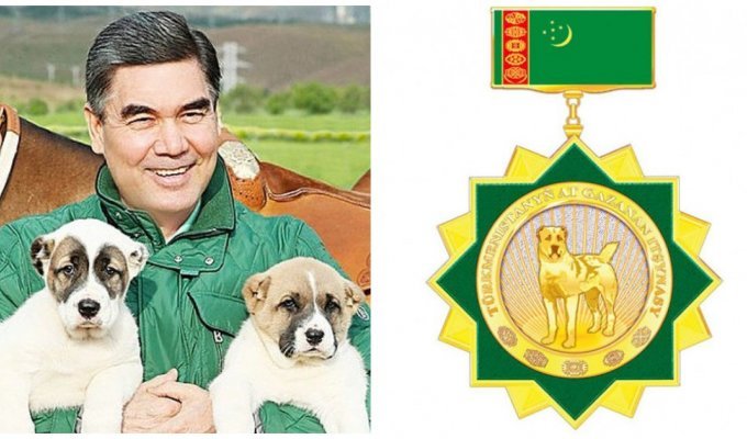 В Туркмении появились звания народного и заслуженного собаковода (4 фото + 1 видео)