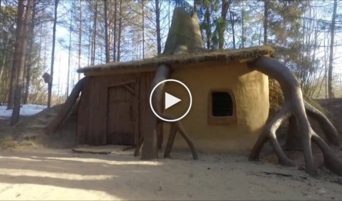 Дом Шрека в Кировской области