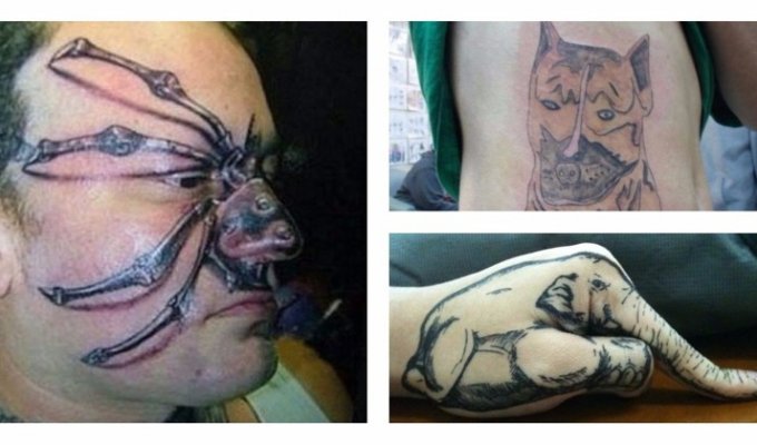 25 забавных фотографий, демонстрирующих худшие татуировки с изображением животных (26 фото)
