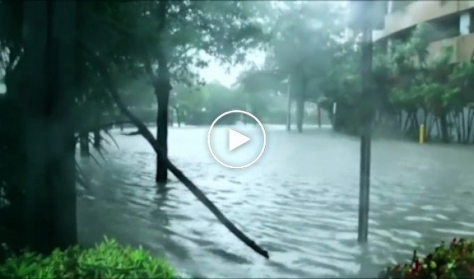 Шокирующие видео из затопленного Майами