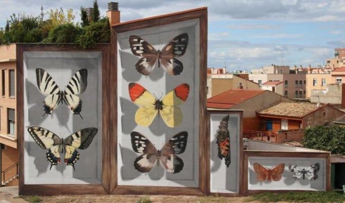 Художник добавляет шарма скучным улицам, создавая гигантских бабочек на стенах (10 фото)