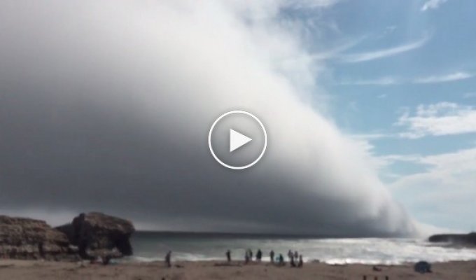 Туманное облако прошло над калифорнийским пляжем