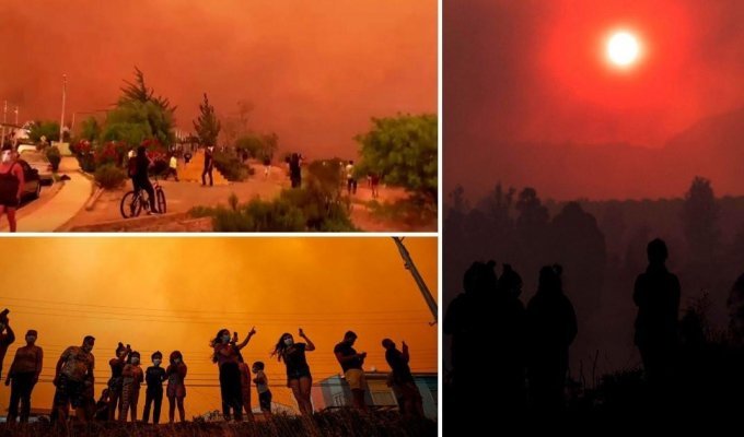 Лесные пожары окрасили чилийское небо в красный (7 фото)