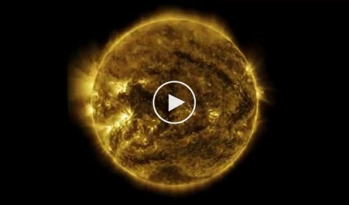 НАСА показало год из жизни Солнца