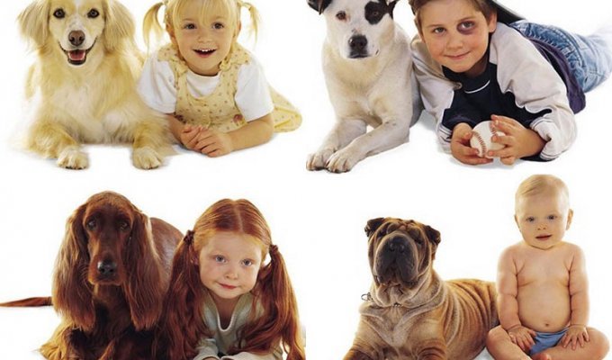 Дети и собаки (7 фото)