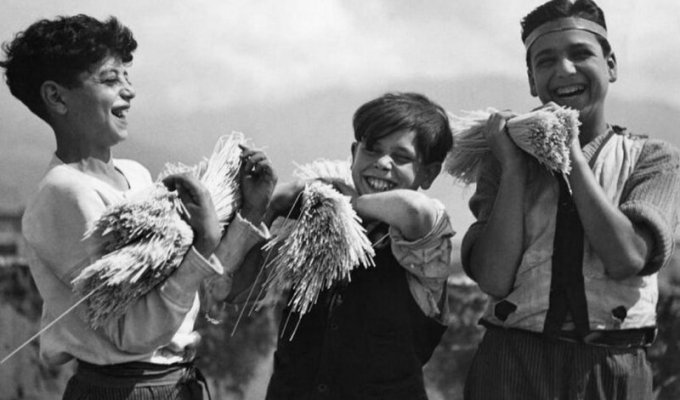 Как делают макароны: реальный процесс макаронных фабрик 20 века (20 фото)