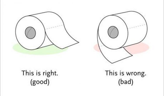  Как правильно пользоваться туалетной бумагой (5 Фото)