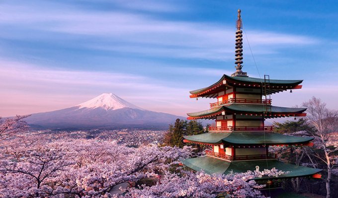 Интересные факты о Японии (4 фото)