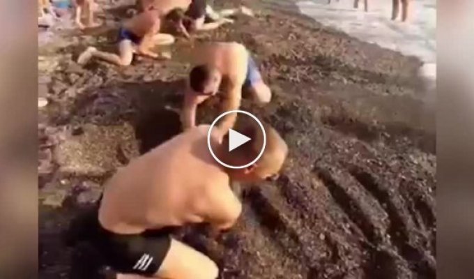 Странный конкурс на пляже в Сочи