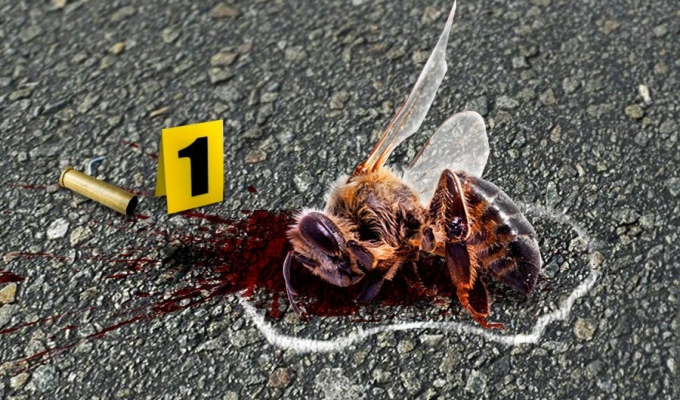 Вымирание пчёл: Миллиарды насекомых гибнут каждый год, а человечество не понимает почему. Что происходит? (5 фото)