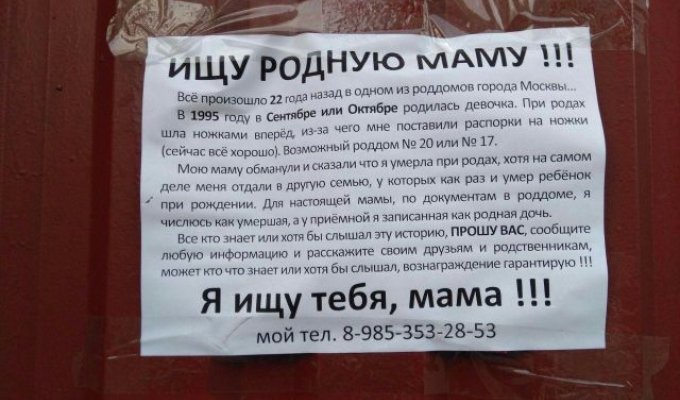Москвичка расклеивает объявления, чтобы найти свою мать (4 фото)