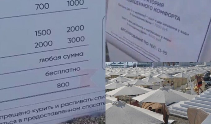 В Сочи обнаружили элитный пляж, на котором спасение утопающего оценили в 800 рублей (3 фото)