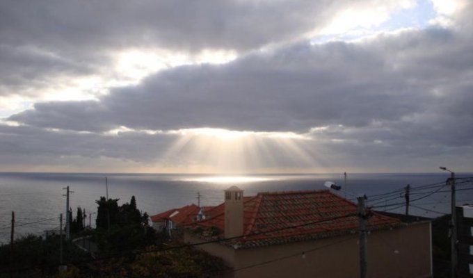 Остров Мадейра (9 фото)
