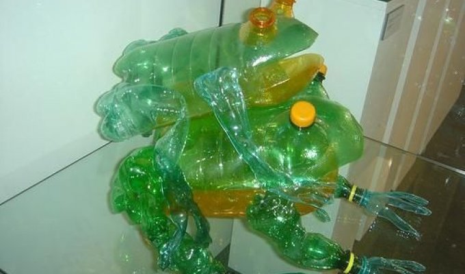 Сделано из пластиковых бутылок (14 фото)