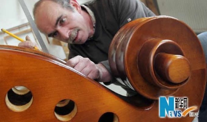 Самая большая в мире виолончель (3 фотографии)