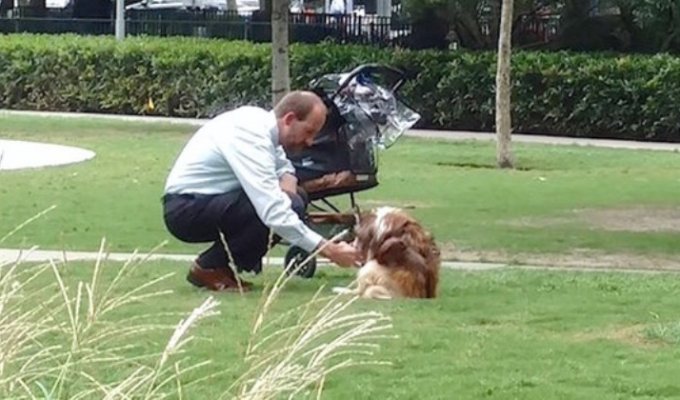 Фотография этого мужчины и его пса затронула сердца миллионов людей (1 фото)