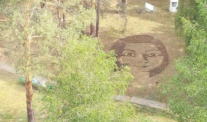 Около гомельской больницы парень выложил портрет девушки из шишек (1 фото)
