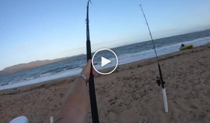 Австралийский рыбак поймал на удочку крупного групера