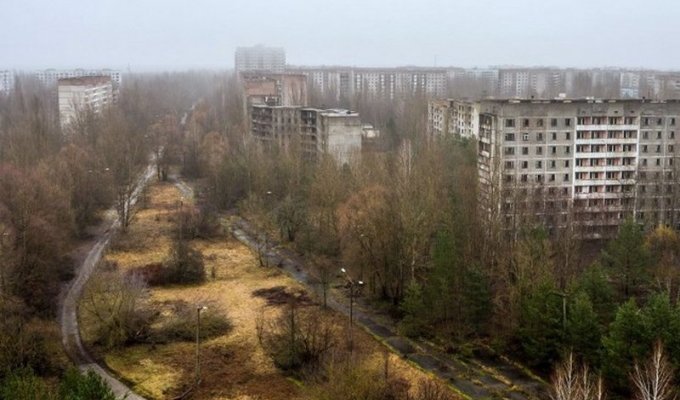 Мертвый город Припять. Джунгли Чернобыля (72 фото + 2 тянучки)