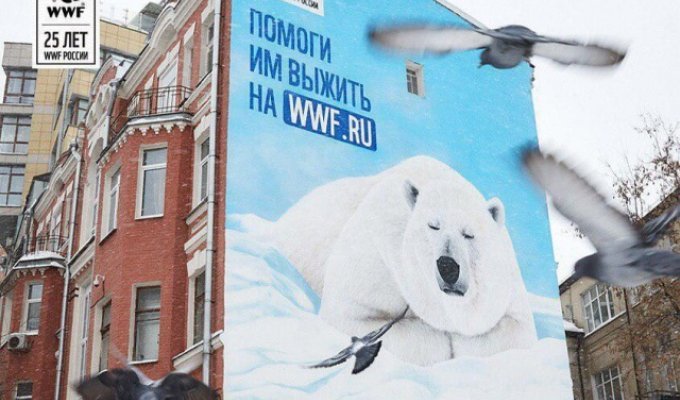 В центре Москвы с фасада здания "пропал" белый медведь (3 фото)