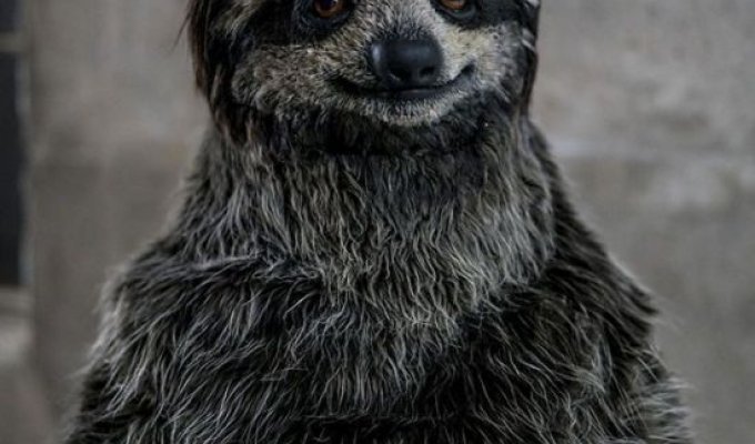 Реалистичный костюм-ленивца (4 фото)
