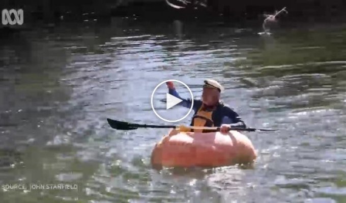 В Австралии мужчина сделал себе лодку из тыквы и отправился в плаванье