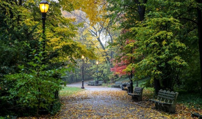 Осень в Нью-Йорке (13 фото)