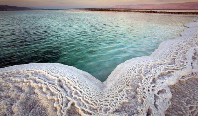 Мертвое море (14 фото)