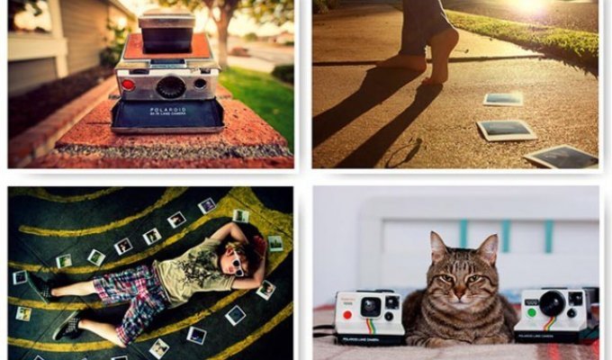 Интересные факты о фотоаппаратах Polaroid (23 фото)