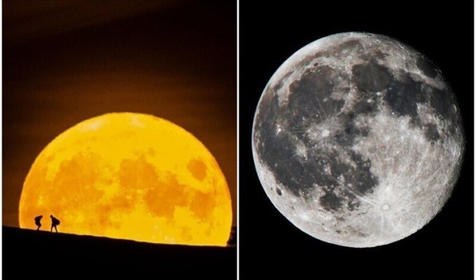 10 фактов о Луне, которые интересно узнать каждому (11 фото)
