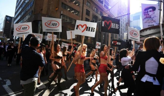 Австралийские девушки в белье выступили в поддержку однополых браков (7 фото)