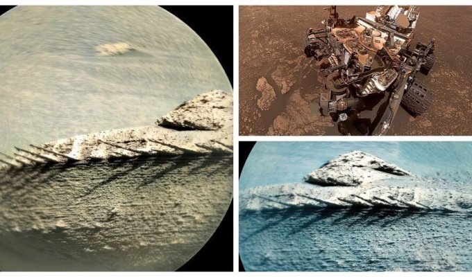 На Марсе заметили необычный камень, похожий на хребет рыбы (9 фото)