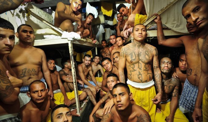 Латиноамериканские тюрьмы: мужская и женская (14 фото)