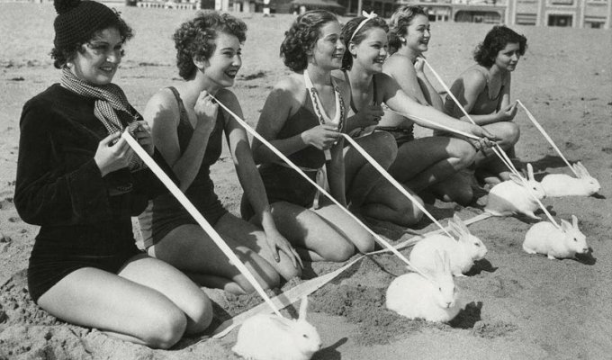 Что можно делать на пляже этим летом, или Пляжные игры 30-х годов (24 фото)