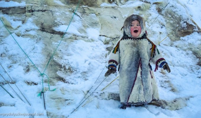 Ненецкая девочка-пингвинчик Соня из Салехарда (34 фото + 1 видео)