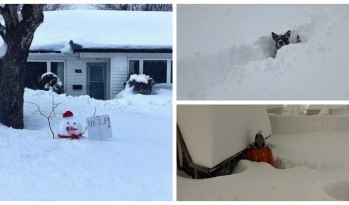 Город Буффало в штате Нью-Йорк переживает снежный армагеддон (26 фото)