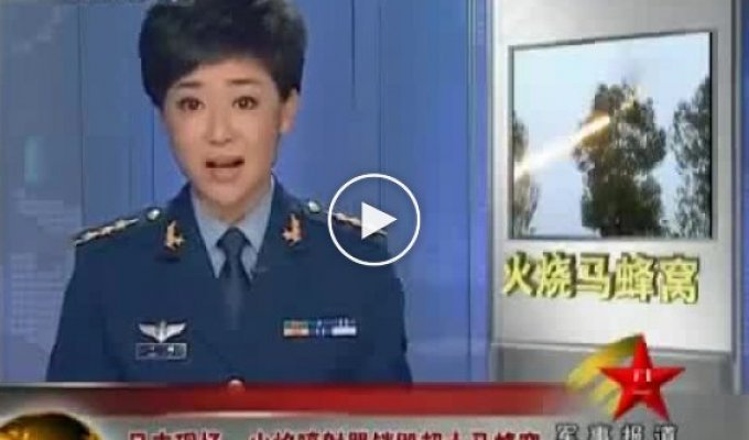 Китайскую армию вызывают как пожарников на спасение котов
