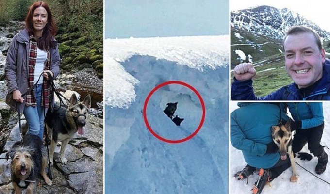 Герой-альпинист рискнул жизнью, чтобы спасти двух собак (13 фото)