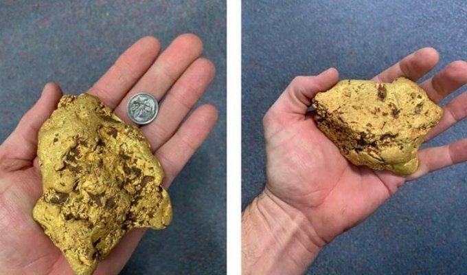 Австралию, после обнаружения там огромного самородка, охватила самая настоящая золотая лихорадка (5 фото)