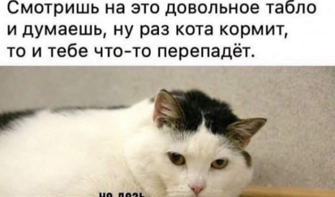 Лучшие шутки и мемы из Сети. Выпуск 272