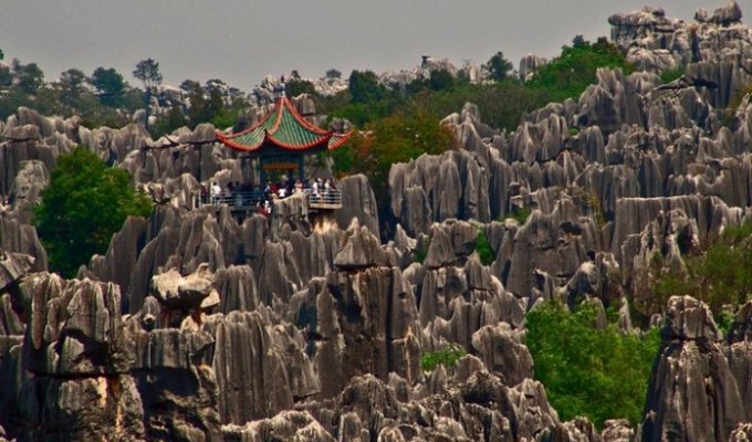 Удивительный каменный лес Шилинь в Китае (9 фото)