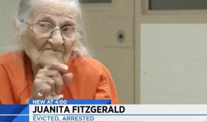 Американка в 94 года оказалась не промах (1 фото)